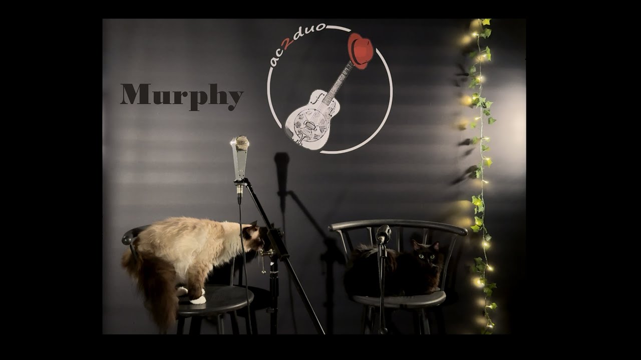 Murphy @ac2duo  (à cordes et à cris)
