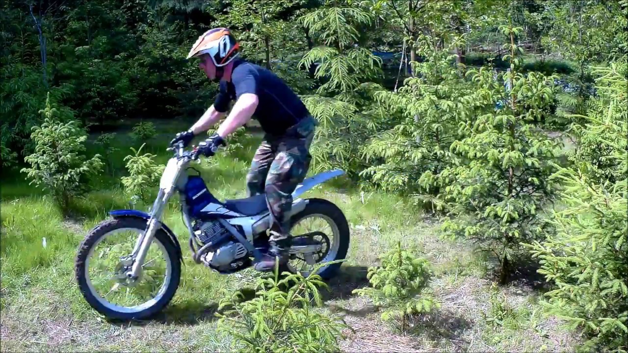 Scorpa TY-S 175 F in da Wood