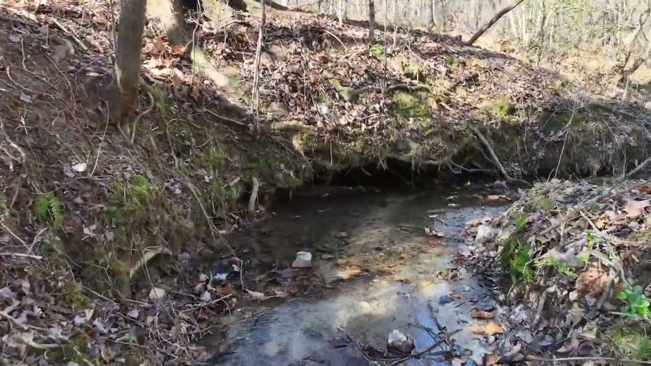 Unrestricted Acreage in Wilkes County with Great Usability, Views, Creeks, and More! 