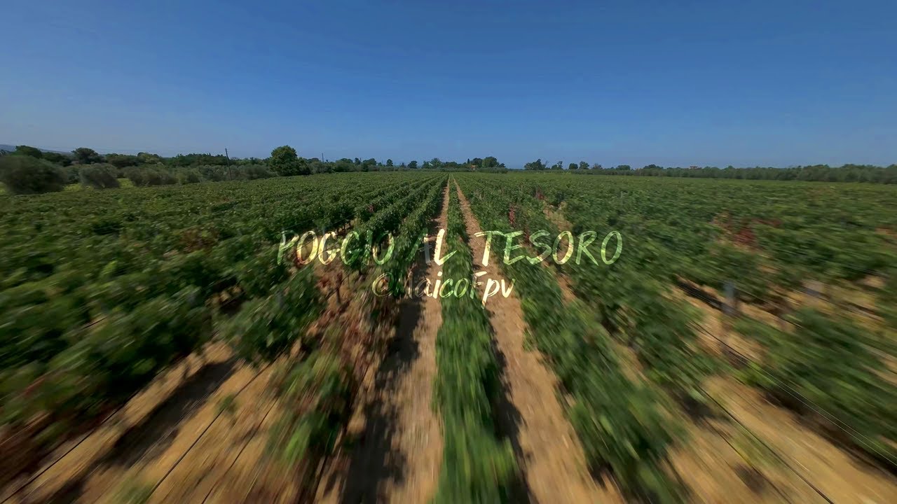 Tra i vigneti di Poggio al Tesoro
