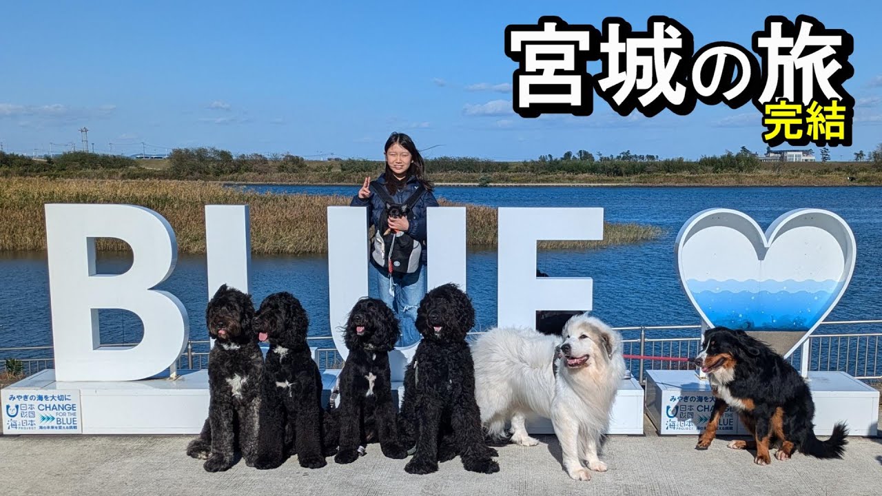 【ラム＆ピコ】宮城の旅【最終話】
