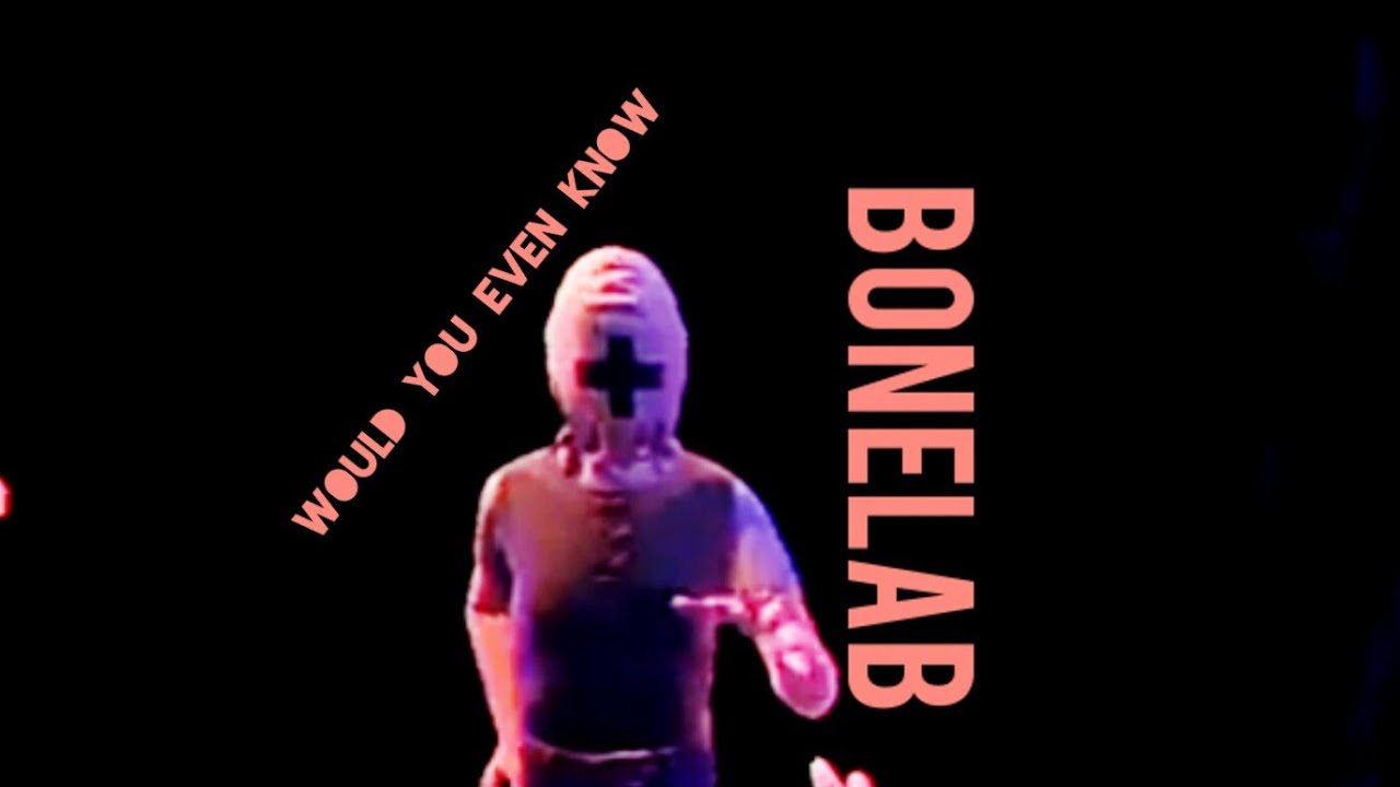 Would You Even Know - BONELAB