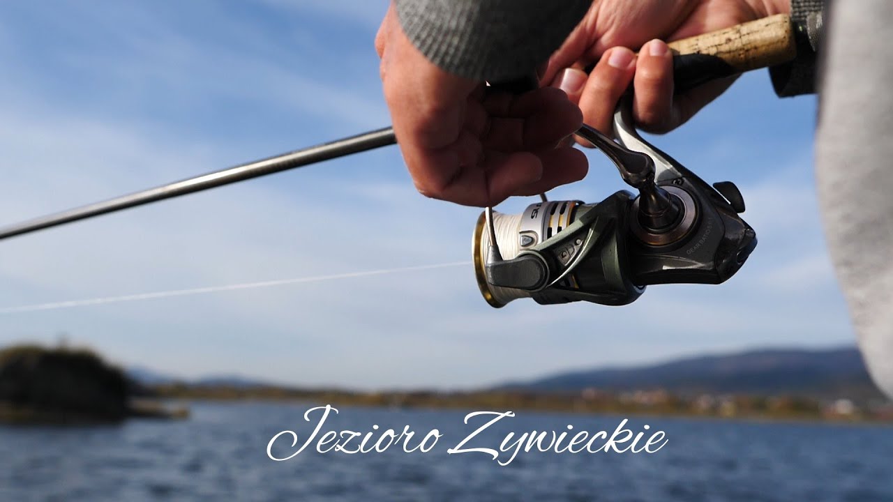 Jezioro Żywieckie Złapać Szczupaka