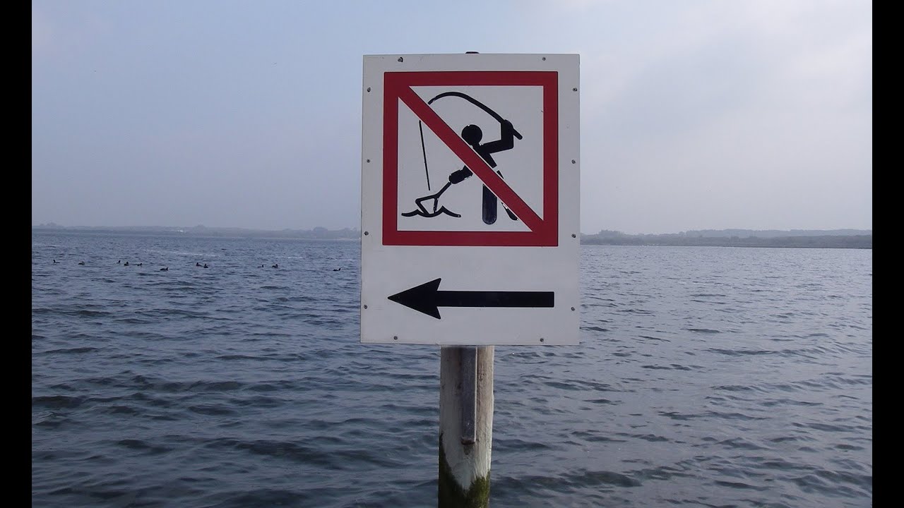 Oostvoornse meer maart 2024