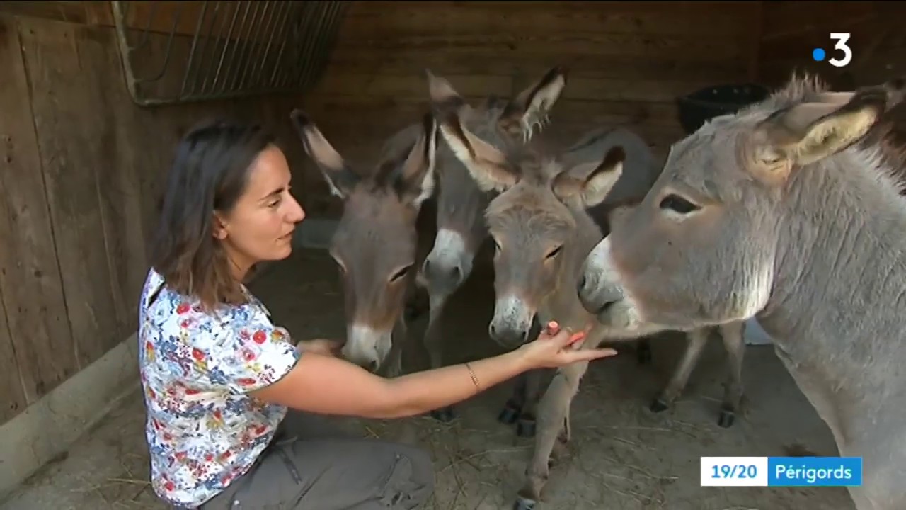 La passion des &acirc;nes de C&eacute;line &agrave; La Force en P&eacute;rigord