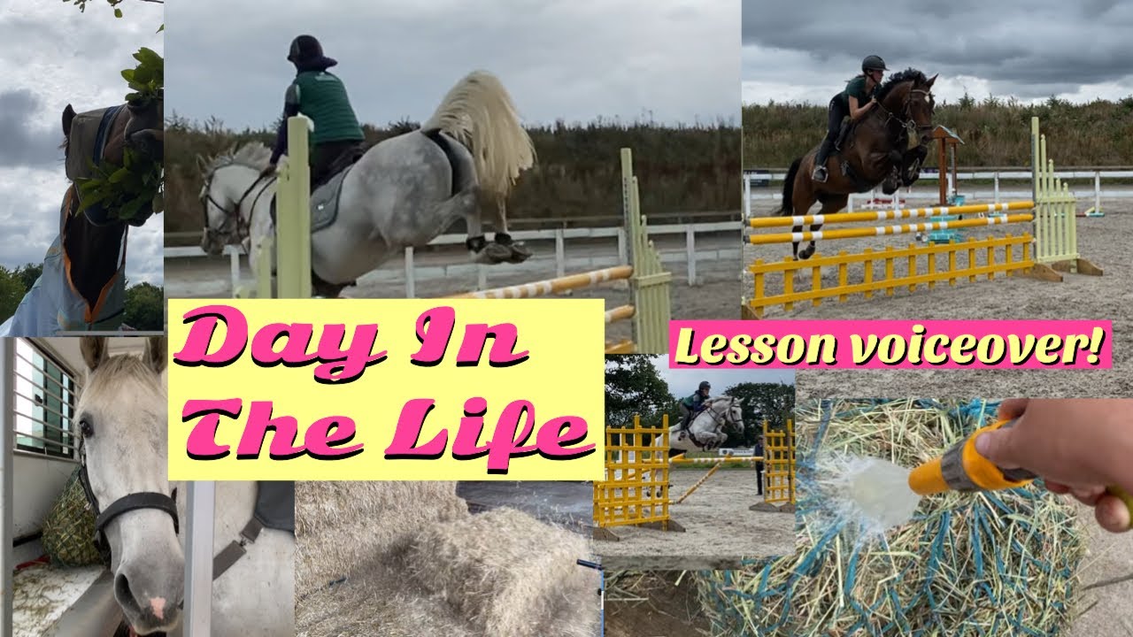 DAY IN THE LIFE | SJ lessons and more!