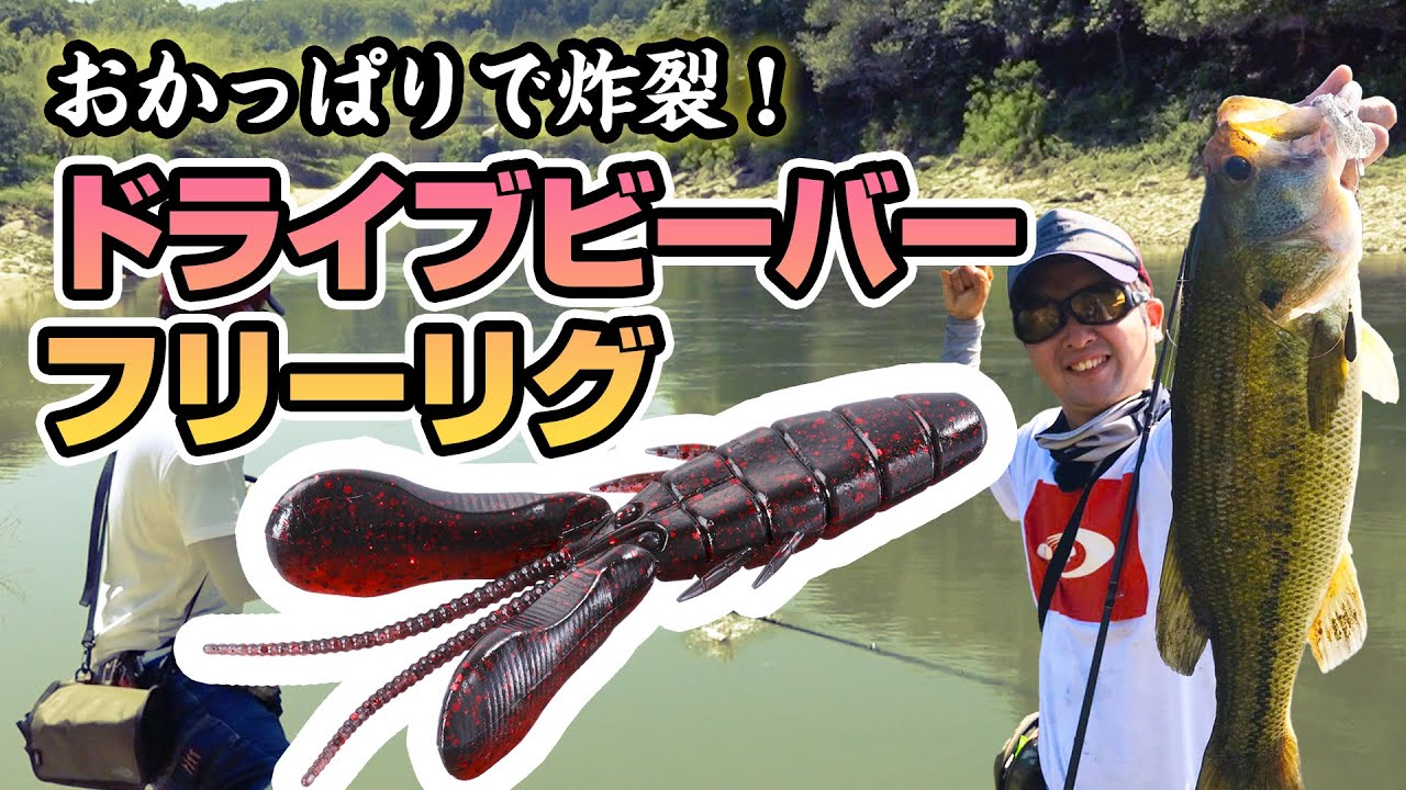 おかっぱりで炸裂！ドライブビーバー・フリーリグ【チョッパー in 高山ダム】