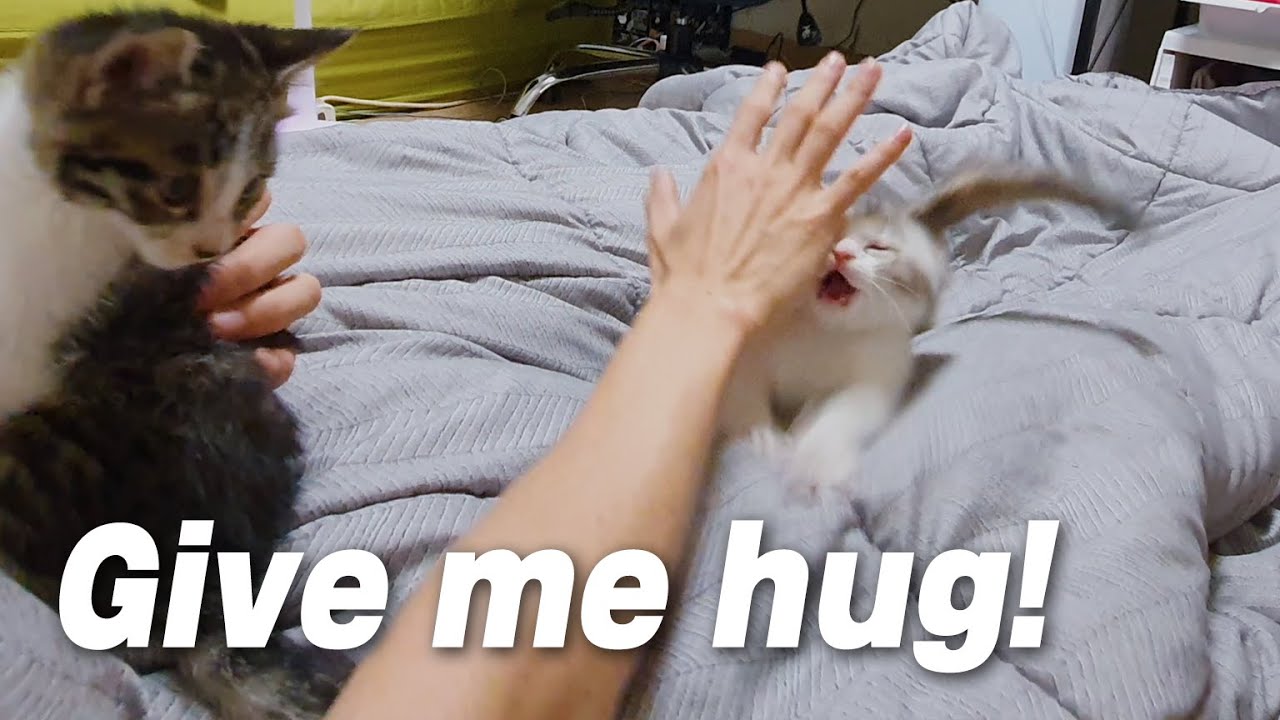 Xuni was Very Jealous When I Hugged Only Yuni