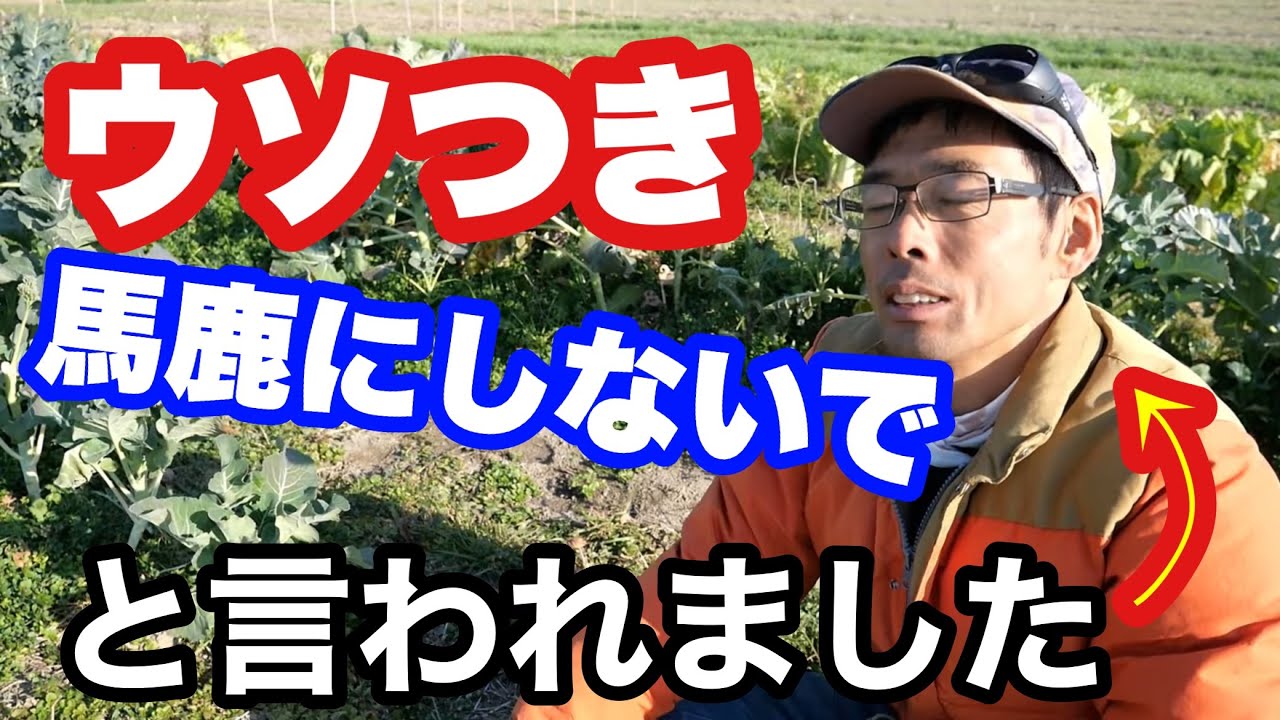【自然農の土づくり】なぜ無施肥でも野菜が育つのか？その考え方と各『自然系』農法の堆肥･肥料に対してのスタンスについて
