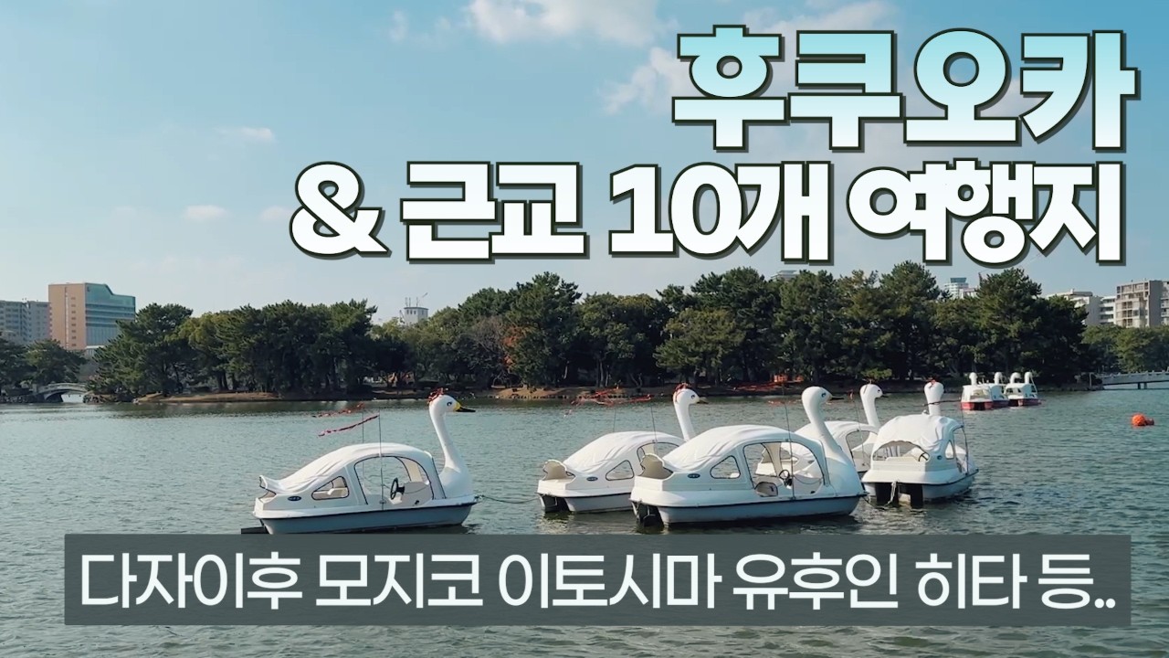 🌃후쿠오카 여행 준비 영상 하나로 끝내기! | 시내·근교·오이타까지 다 모음