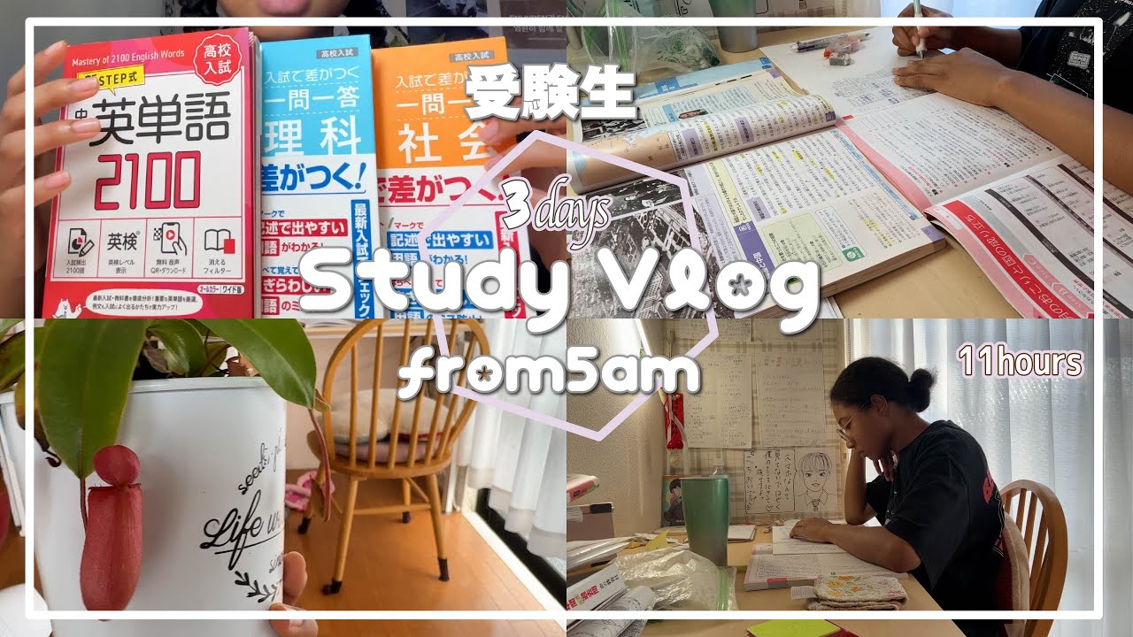 【studyvlog】朝5時起きで一日11時間勉強する受験生すぎる夏休み３Daysルーティン【中学３年】