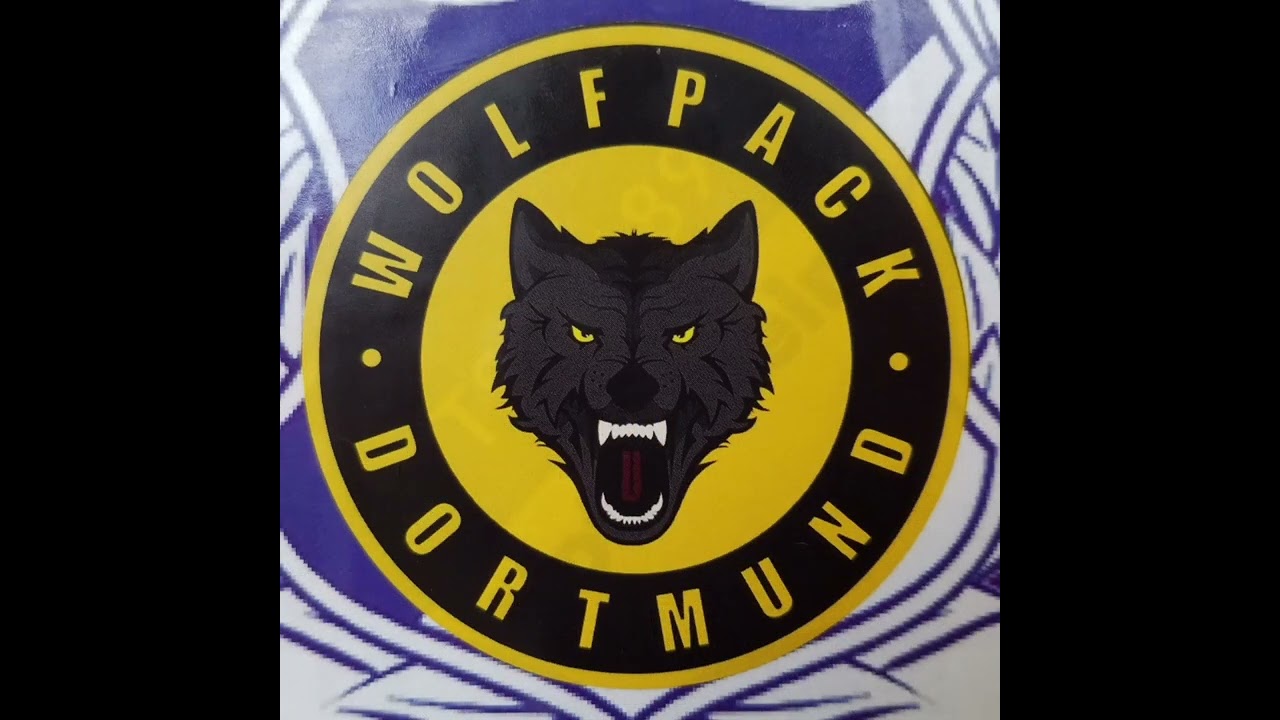 50 Aufkleber Ultra- und Fanszene Borussia Dortmund BVB