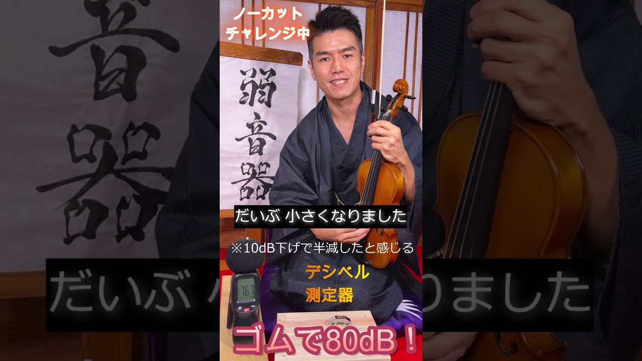 【朗報！】バイオリンの音を小さくするたった一つの簡単な方法をわかりやすく紹介します！ #violin #弾いてみた #music #akinaimusic #RESM