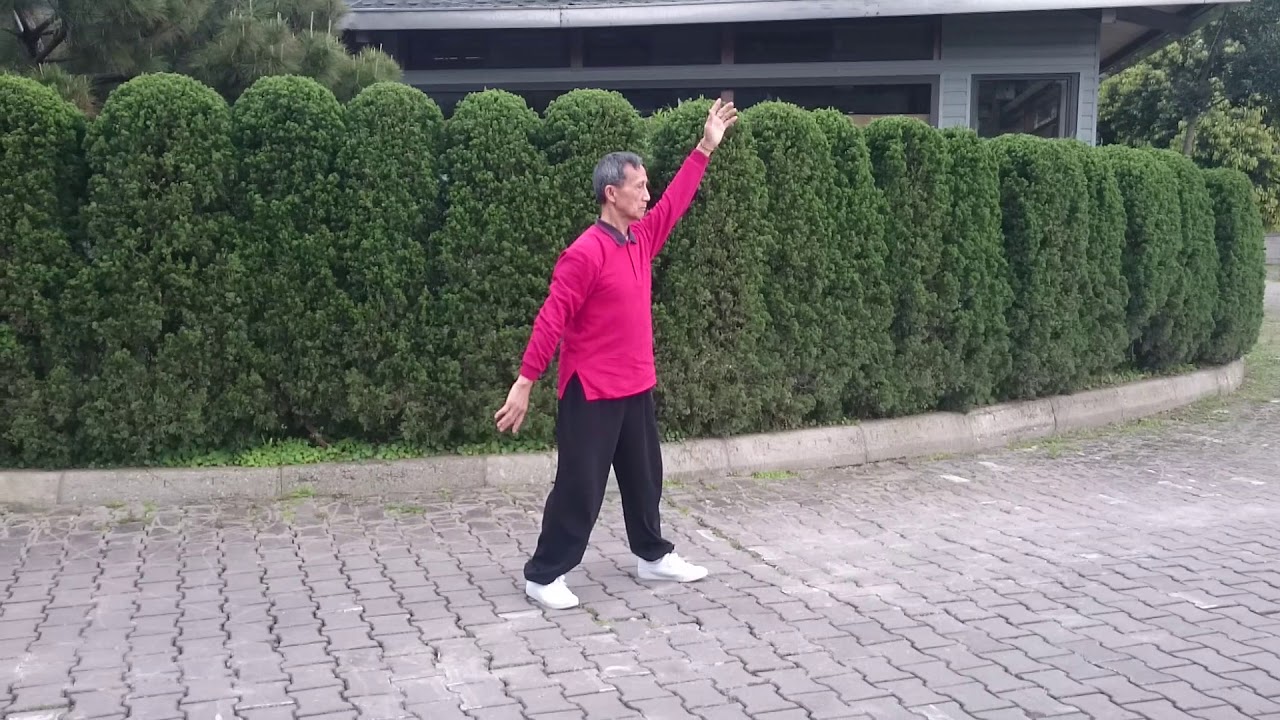 蘇會長華陀五禽之戲