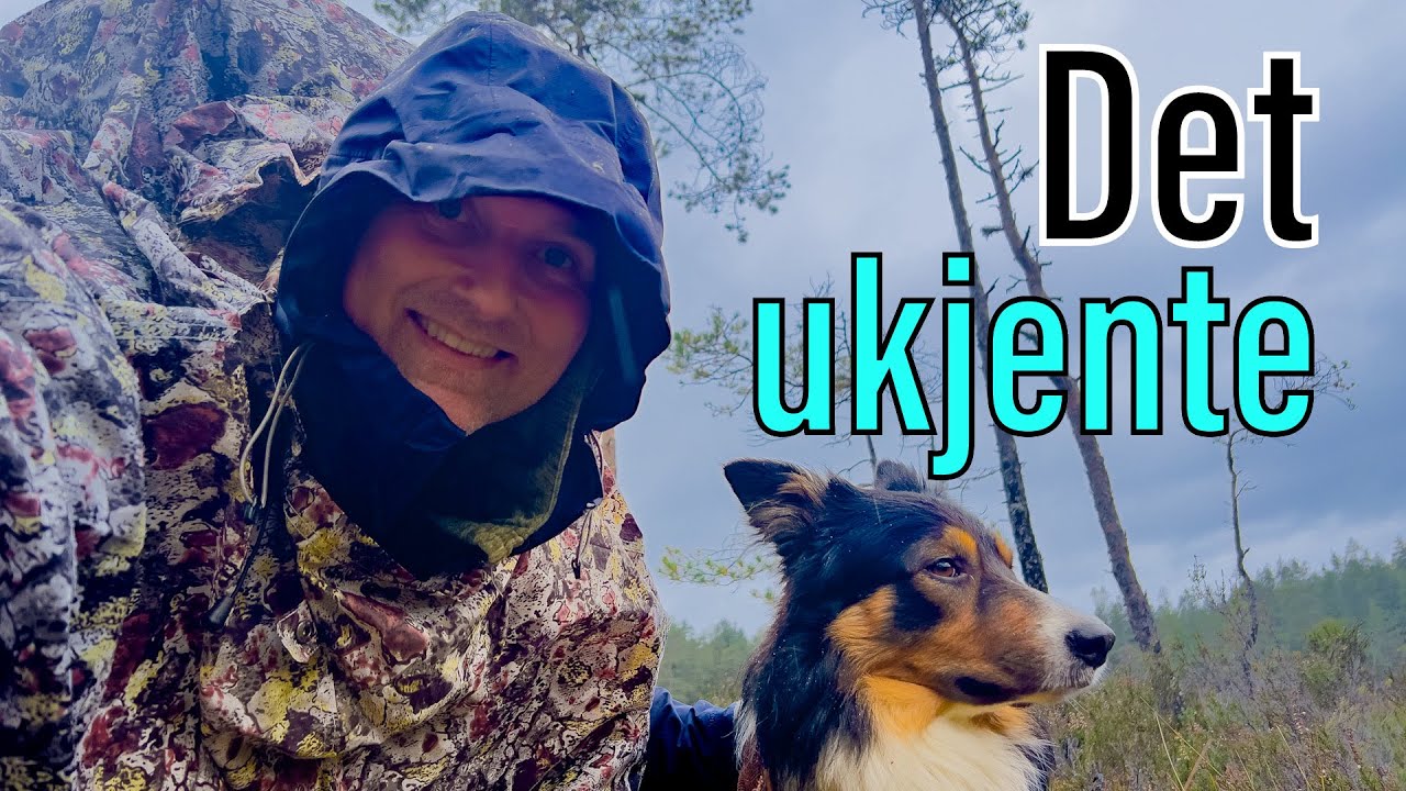 Skogstur med Leo (Border Collie) i Skiptvet – leting etter det ukjente tjernet Trestriklet