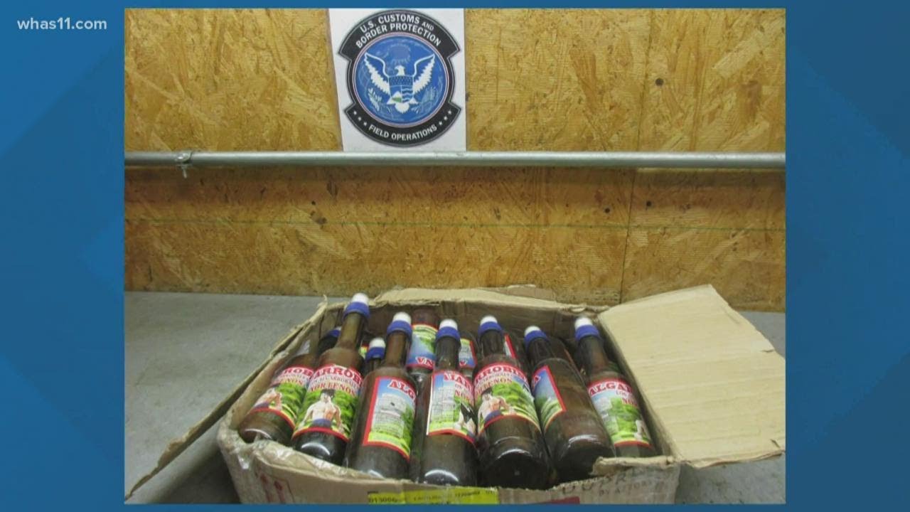 Nearly 230 pounds of DMT seized in Louisville by Customs and Border Patrol