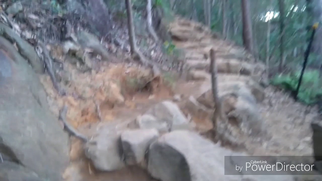 Family Climb Up Mt Ngungun