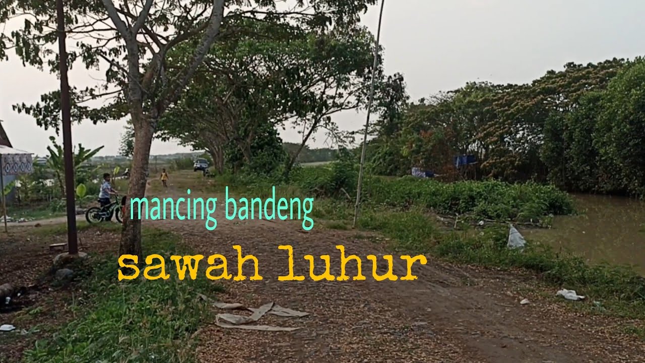 mancing bandeng spot padek Sawah Luhur