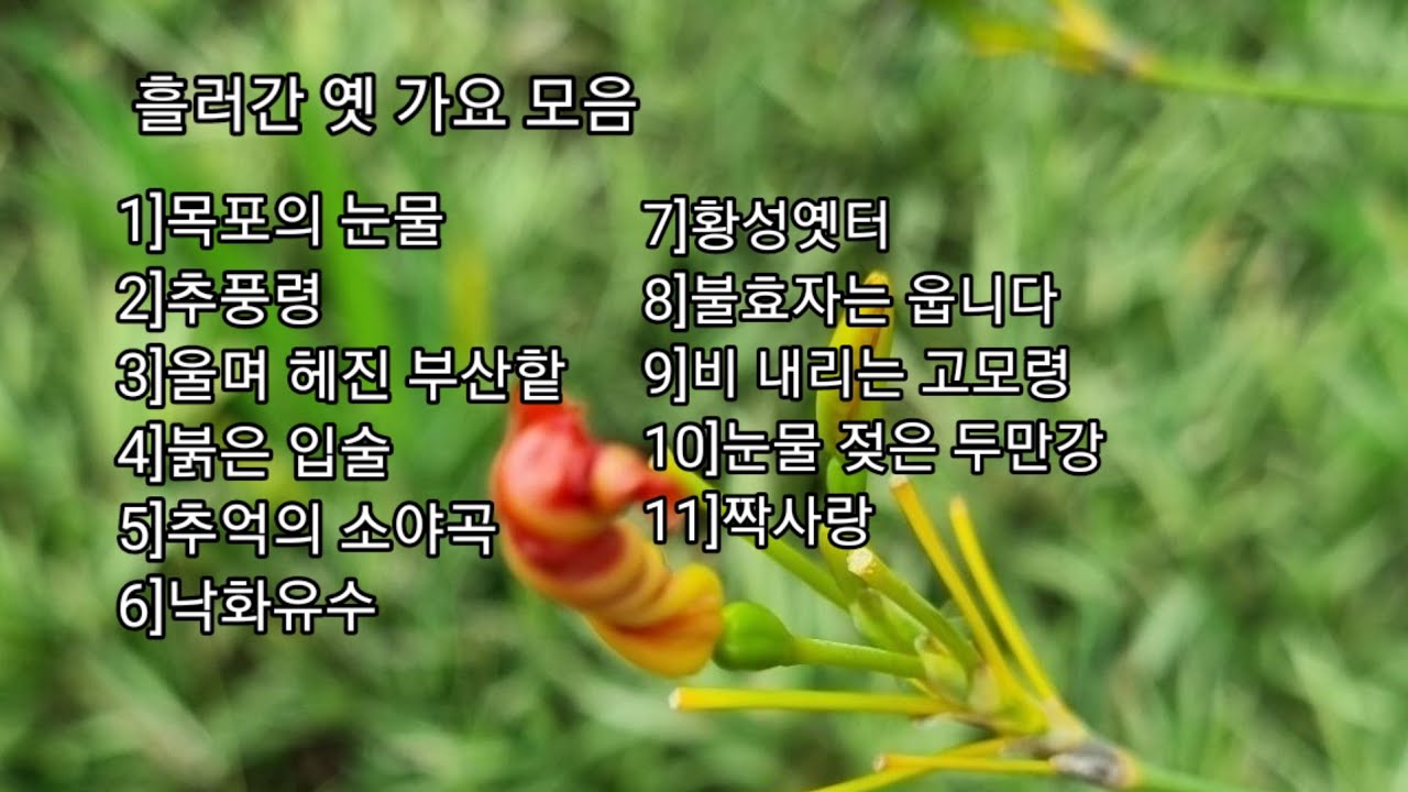 흘러간 추억의 옛 가요 모음 ♡하모니카 연주 주홍
