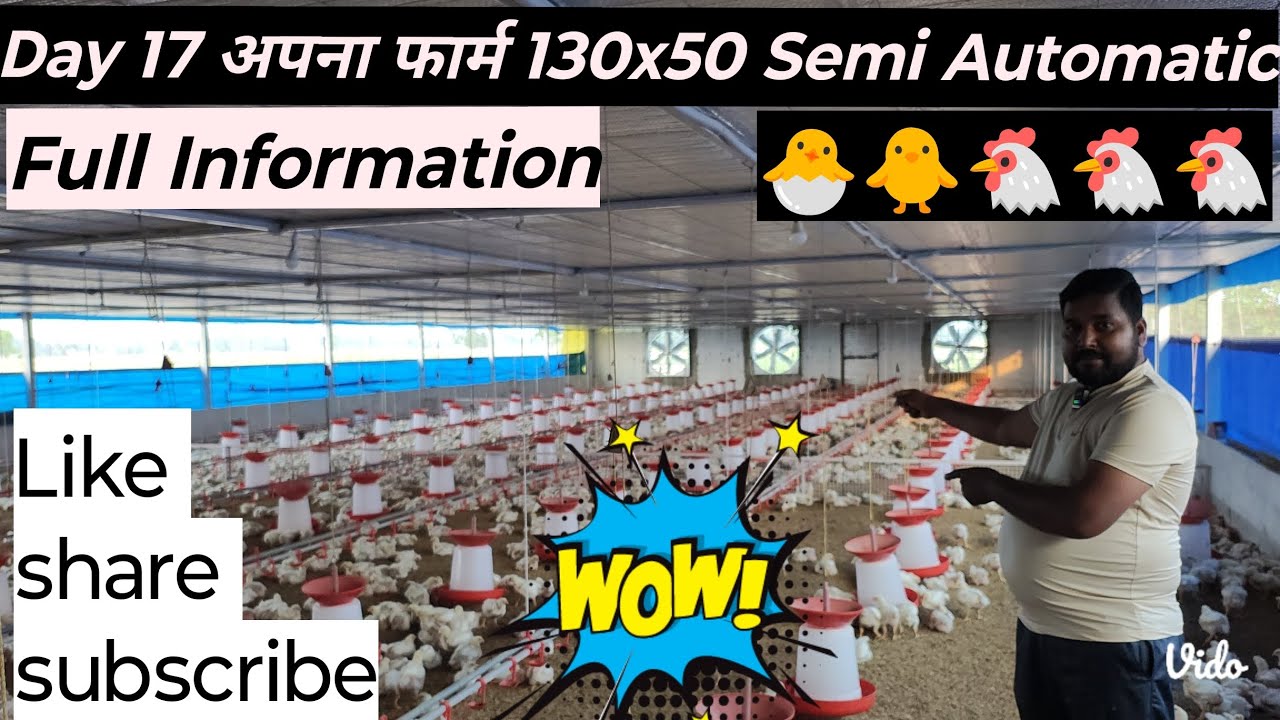 130x50 ft EC house construction cost||Ec poultry farm||Ec farm||shivansh Ec poultry basti||
