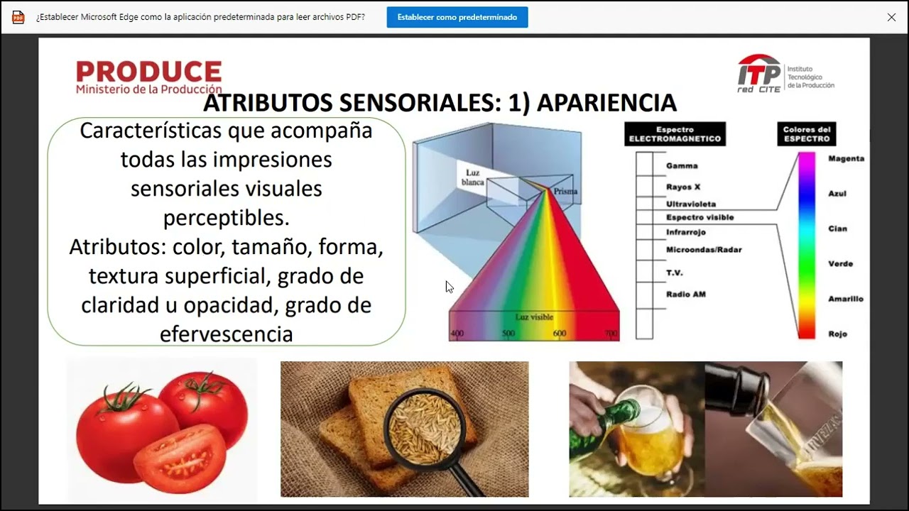 Metodologías de análisis sensorial para alimentos