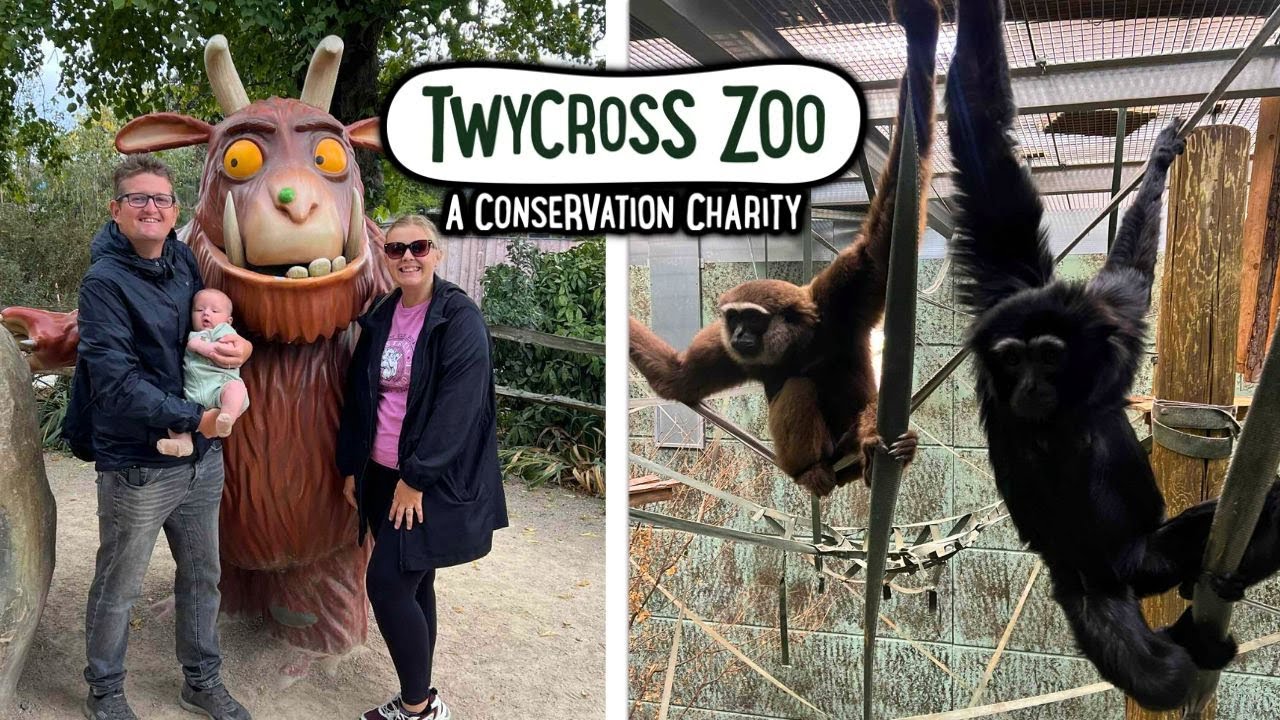 Twycross Zoo Vlog 2025 - FULL Tour - Animals & The Gruffalo Land!