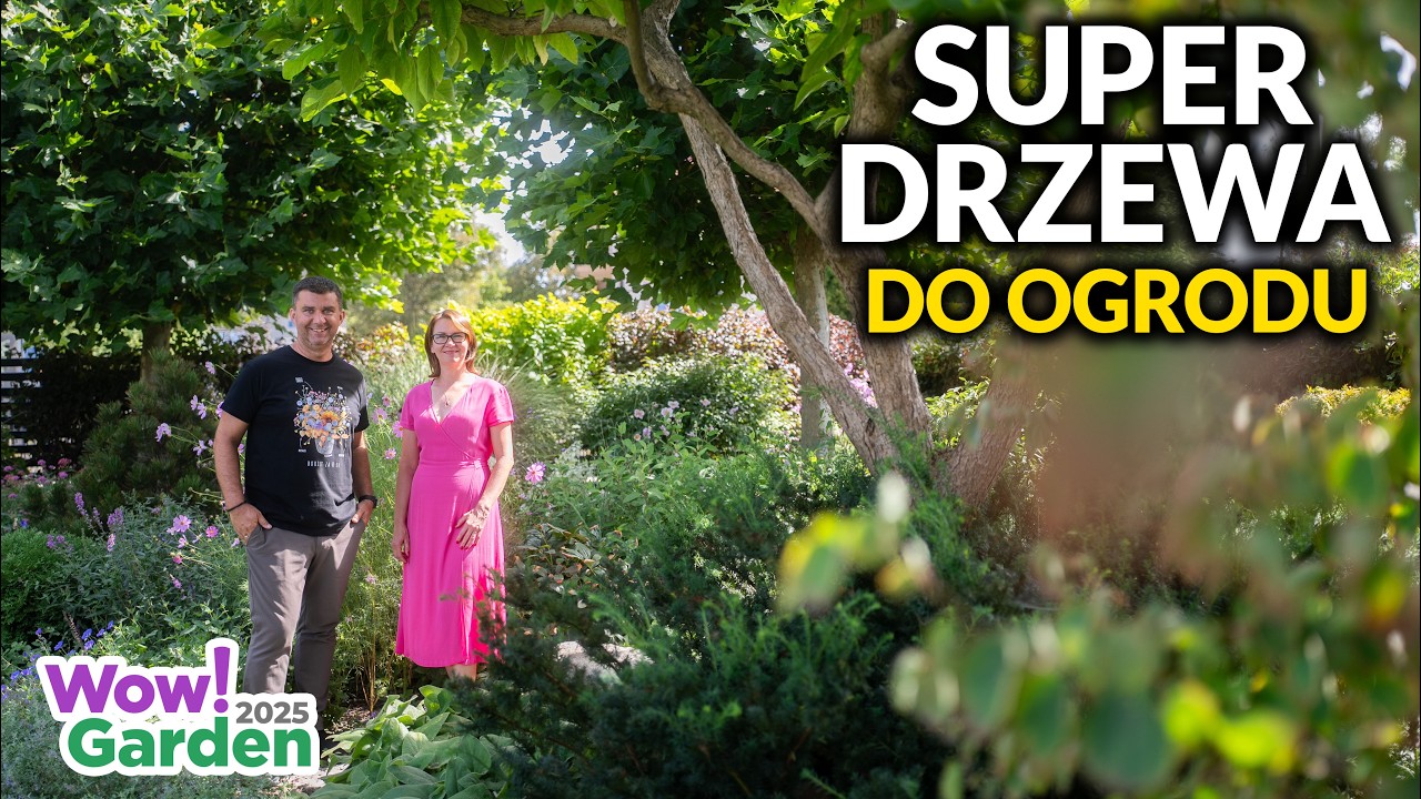 TOP 5 drzew ozdobnych 🌿 Jakie wybrać do ogrodu i jak je pielęgnować? | Wow!Garden