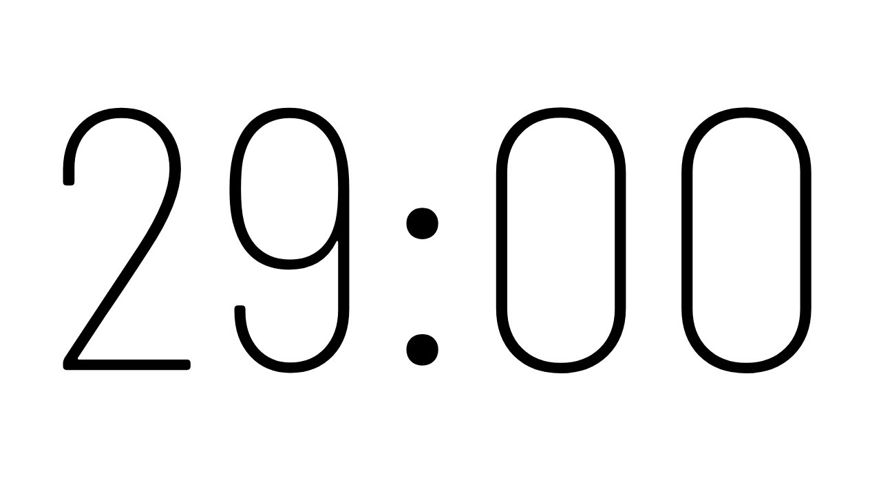 29 Minute Timer with Alarm