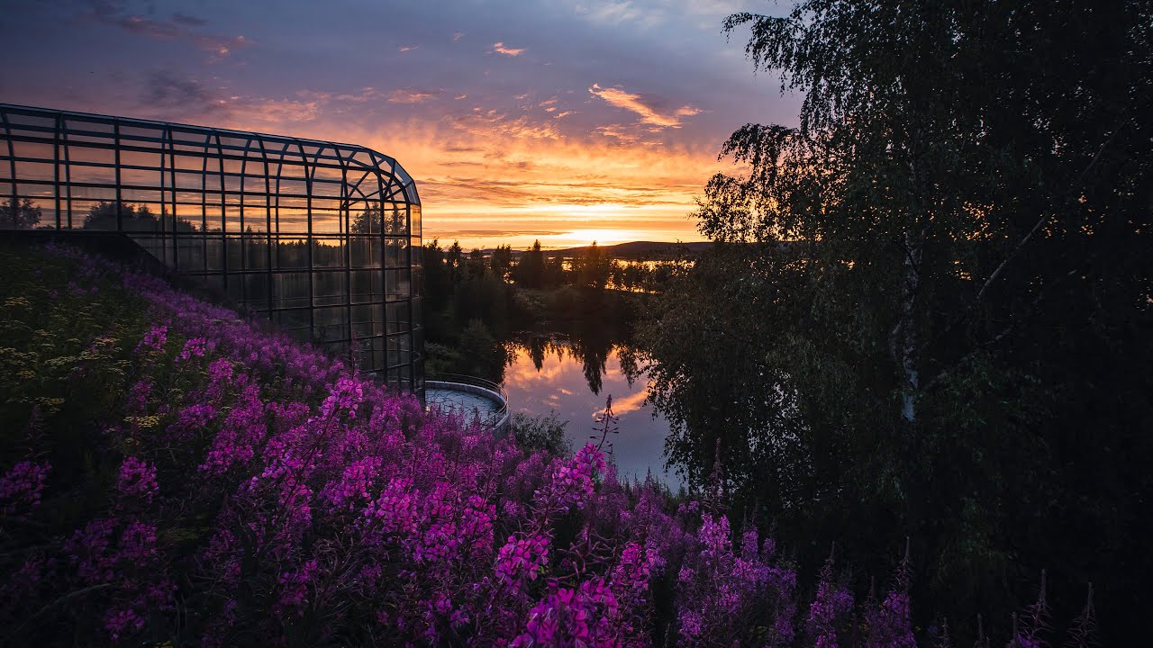 Arctic Light! Magical colourful night on the Arctic Circle