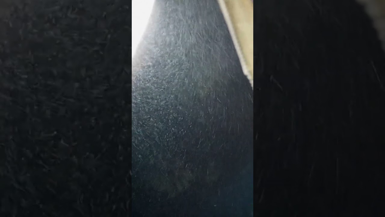 #Fog