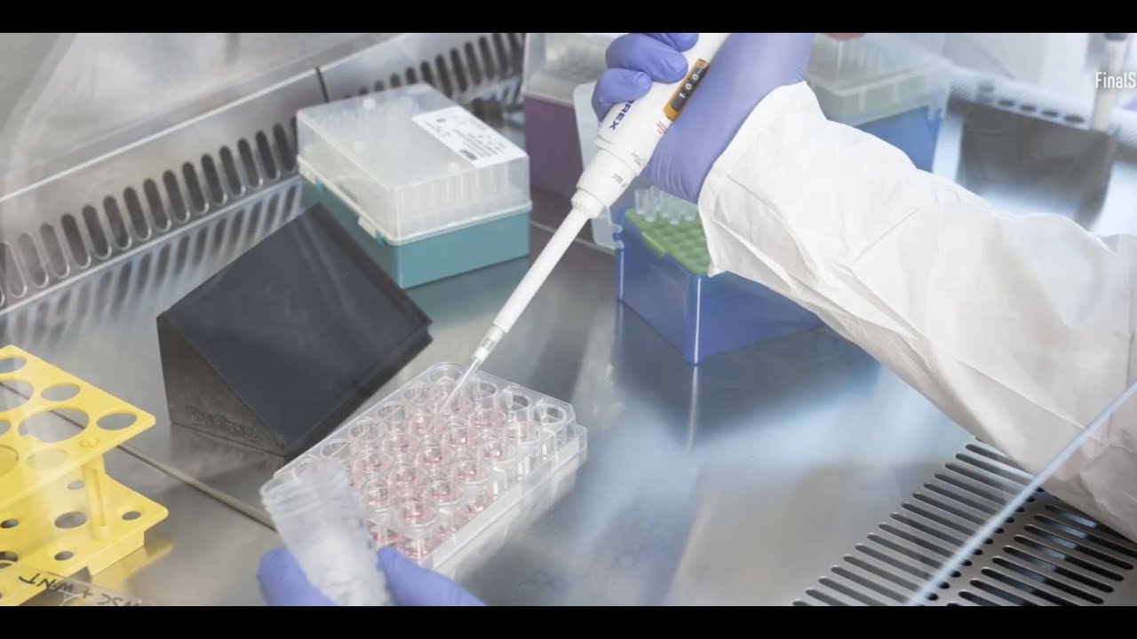 China Absent From New Field of Biocomputing Startup CEO