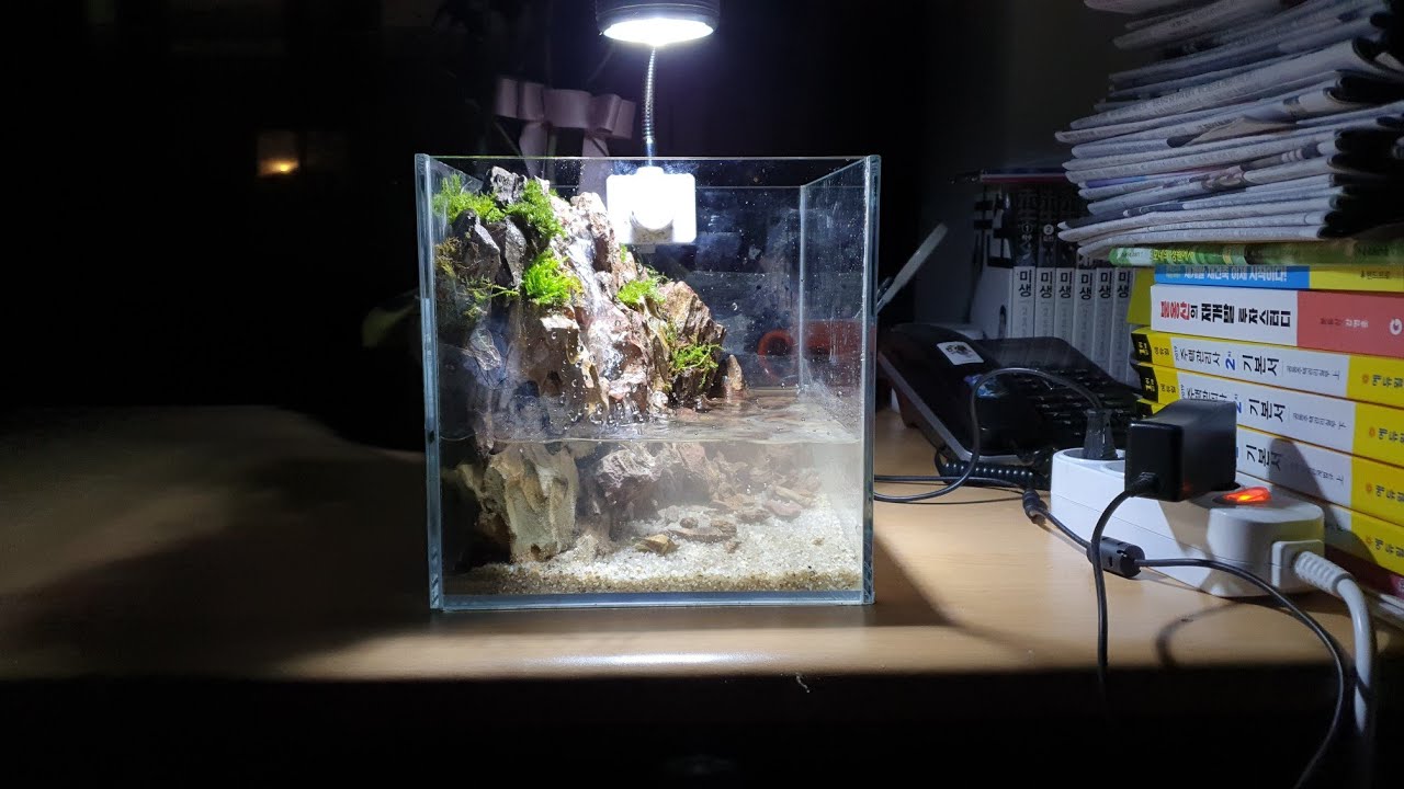 20cube waterfall mini paludarium easy set up(미니 폭포가 있는 20큐브 팔루다리움 제작과정, 미니수조, 20큐브 수조레이아웃)