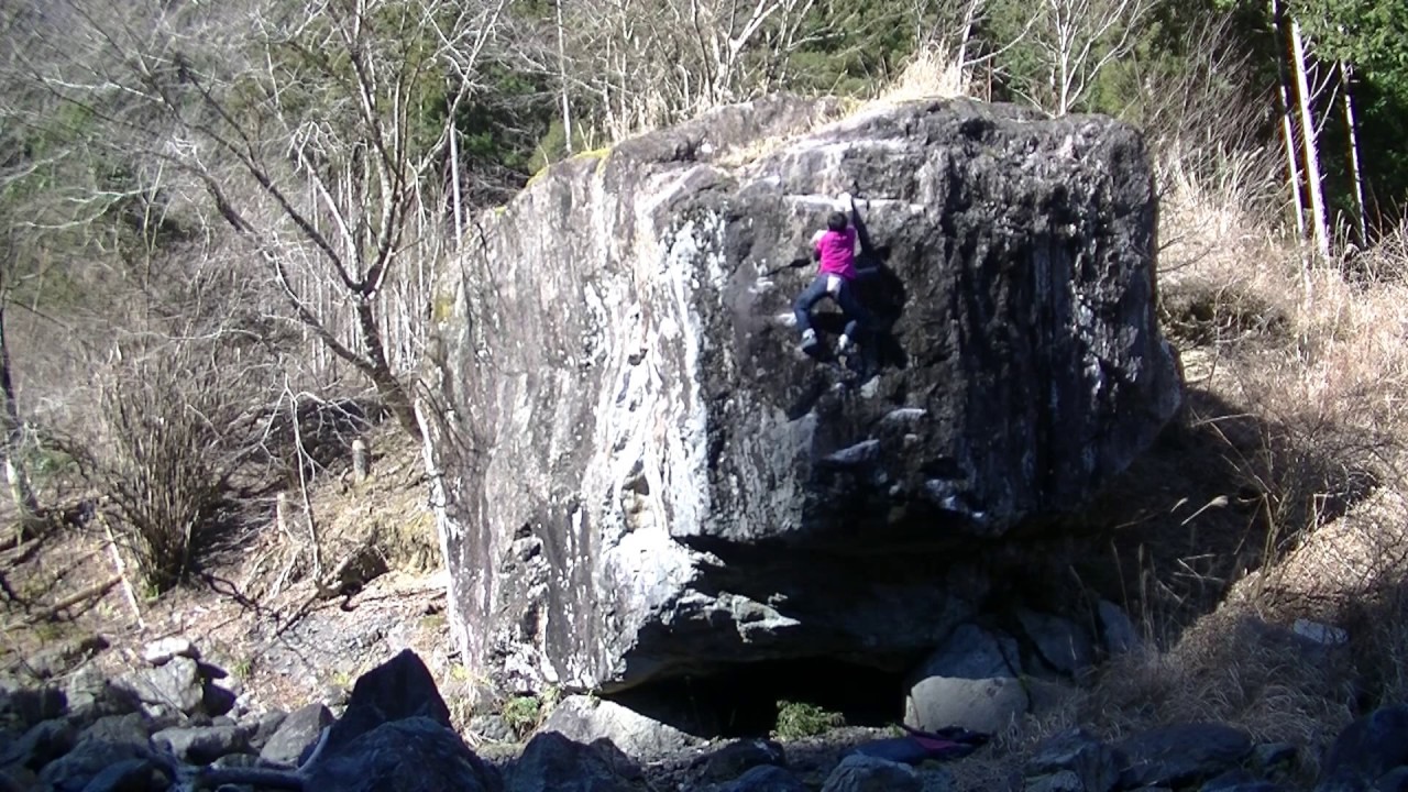 Okusen-Area 風流