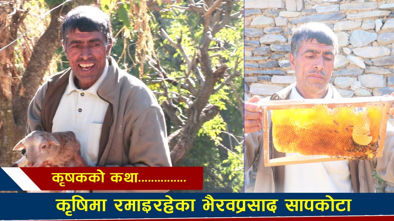 कृषिमा रमाइरहेका भैरवप्रसाद सापकोटा ll  कृषकको कथा