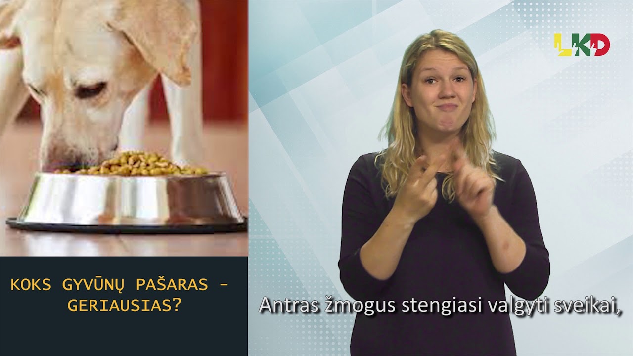 Koks gyvūnų pa&scaron;aras - naudingiausias?