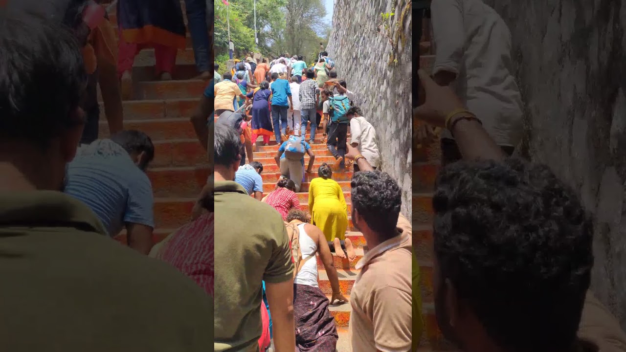 Adivo Alladivo song🙏🏻#tirumala#tirupati#darshan#vaikuntam#anandanilayam#shorts#reels#viral#like#view
