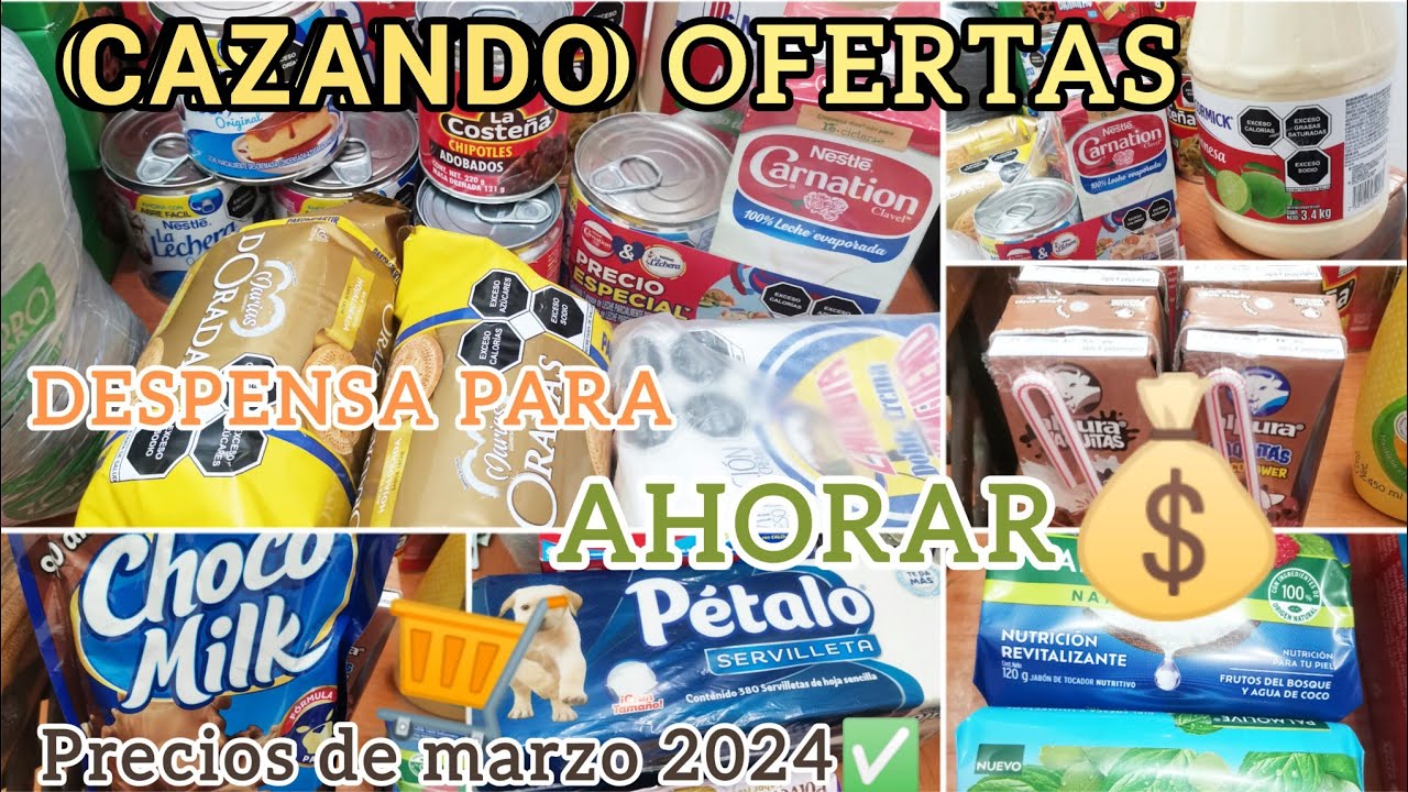 CAZANDO OFERTAS 💰 DESPENSA🛒 MENSUAL PARA AHORAR 💵ORGANIZACIÓN📒Y AHORRO✅