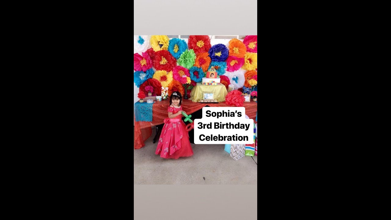 Sophia's 3rd Birthday Celebration