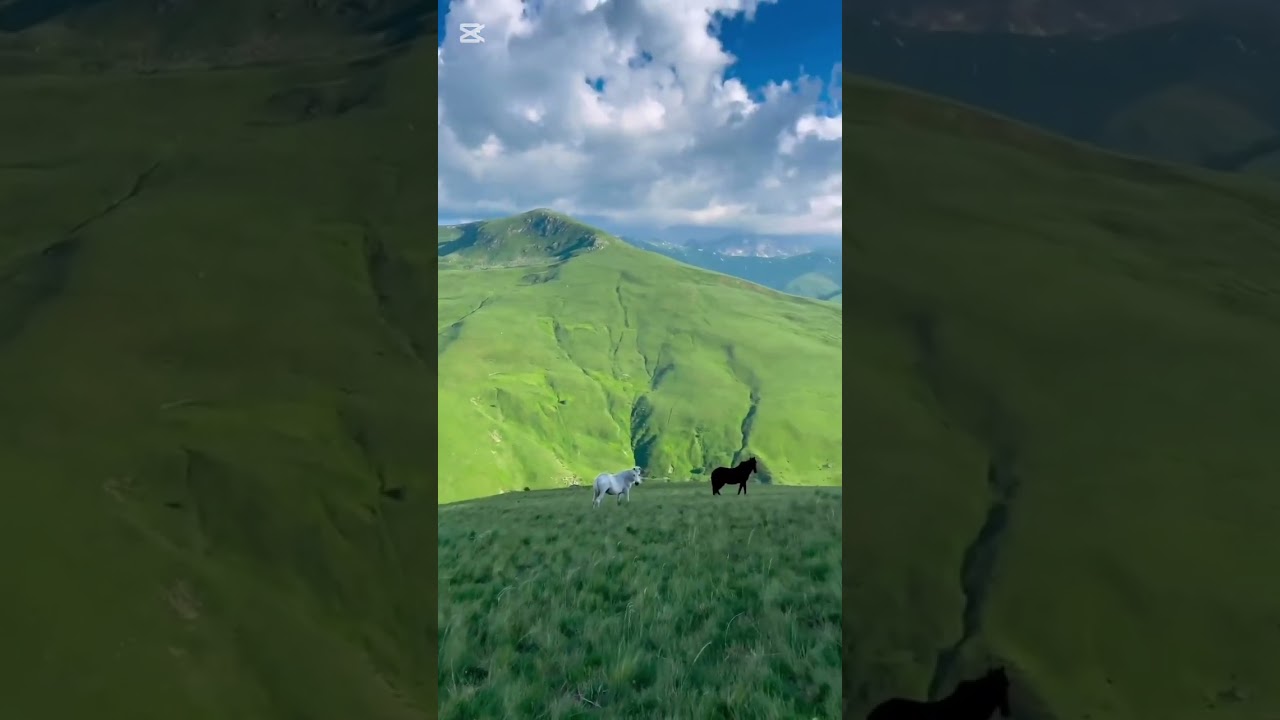 ეს საქართველოა - სიტყვით დაწყებული და სიმღერად ქცეული ჩემი ლექსი 🇬🇪 