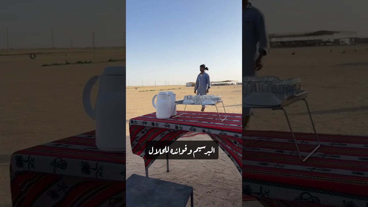 البرسيم الرطب وفوائده للحلال