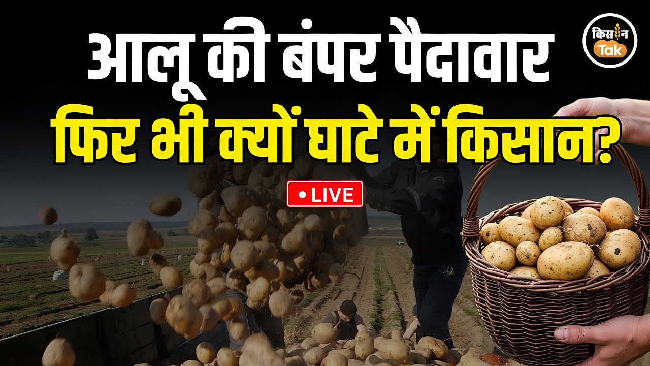 LIVE: क्यों घाटे में जा रहे हैं आलू किसान? Expert और Farmer ने बताई चौंकाने वाली बात