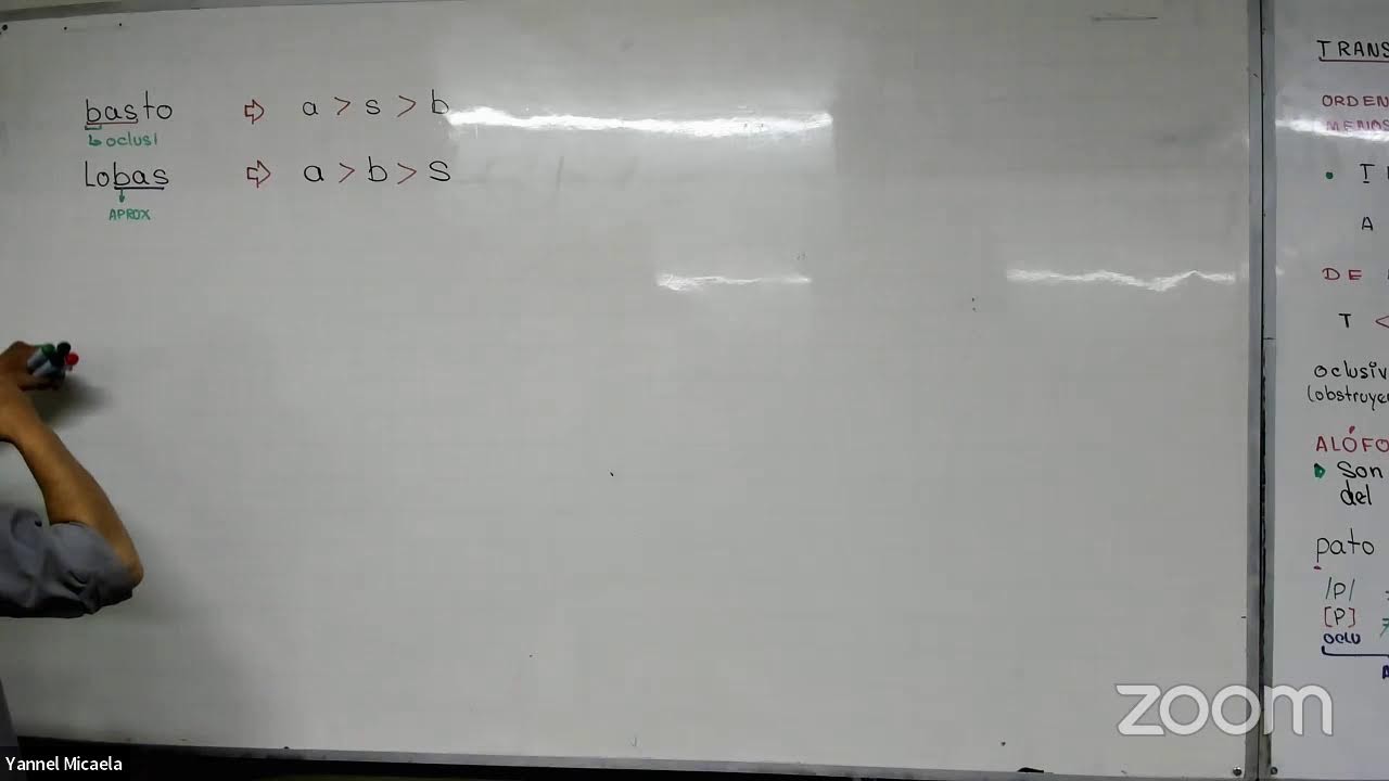 Competencia Ling&uuml;&iacute;stica - Michel