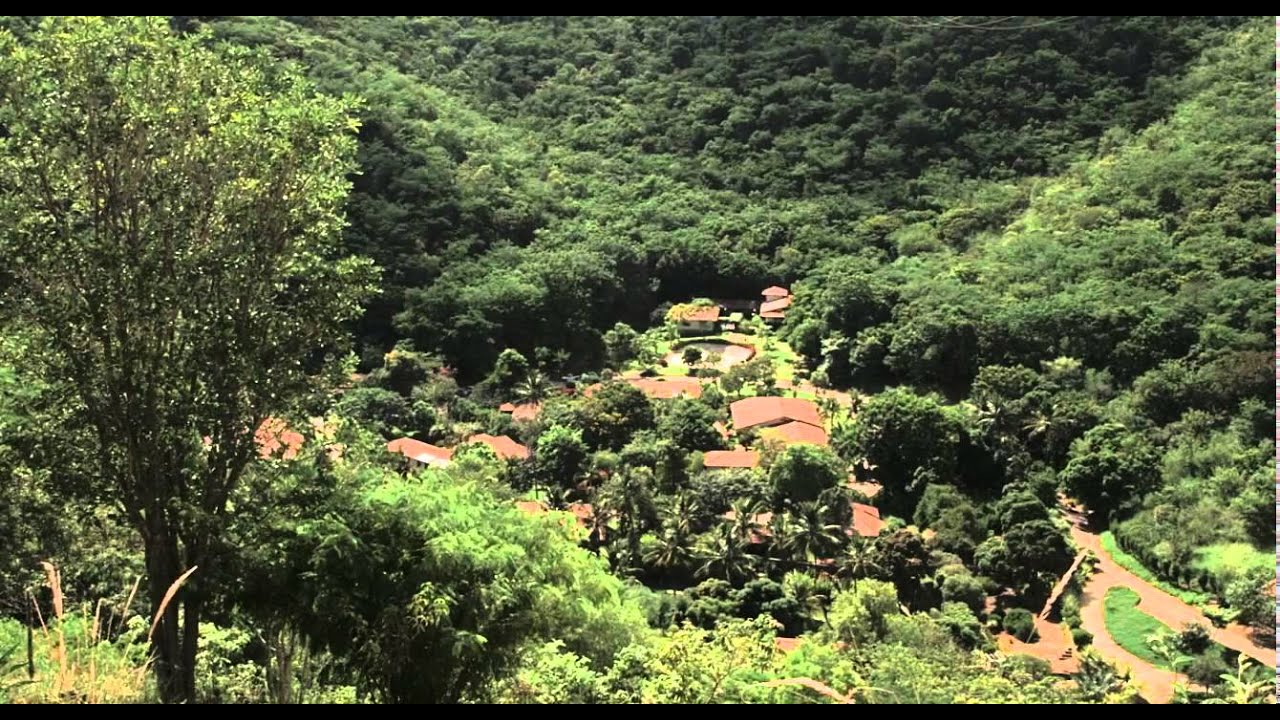 Le sel de la Terre - Replantation de la Mat Atlantica
