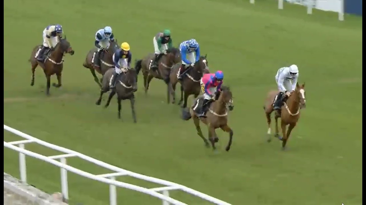 RACE NO -01 - Plumpton 23 Feb 2026