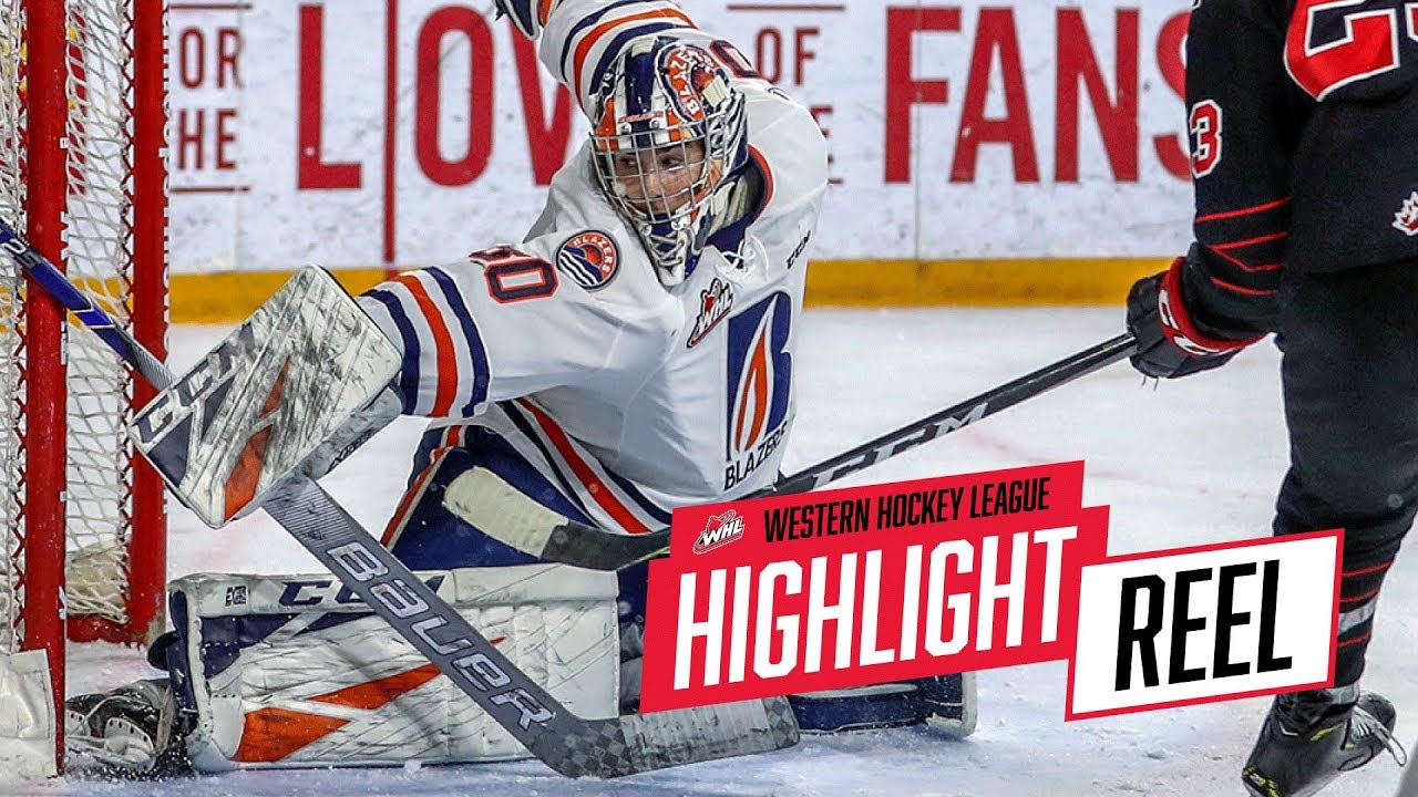 2018-19 HIGHLIGHT REEL | Dylan Garand