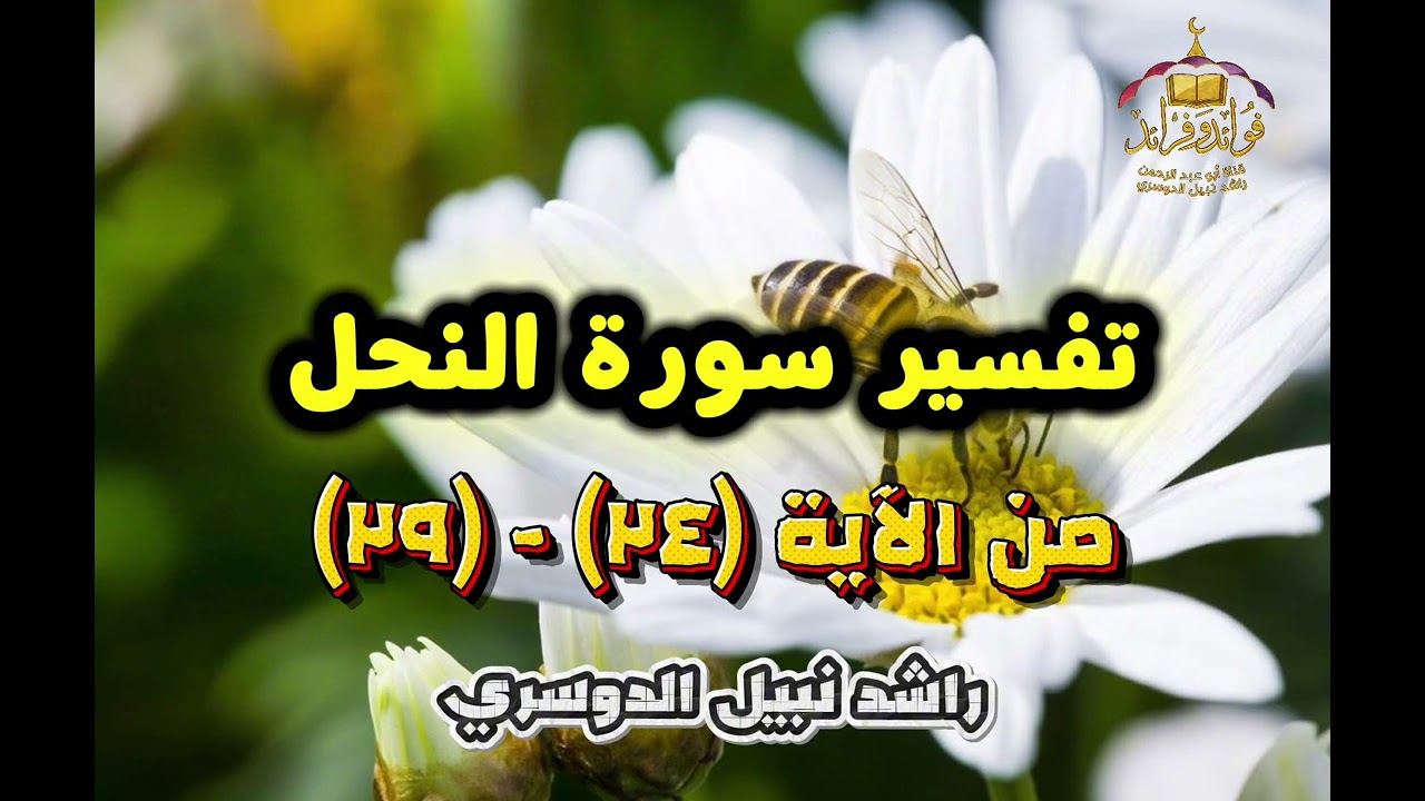٥. تفسير سورة النحل (٢٤) - (٢٩) راشد نبيل الدوسري 
