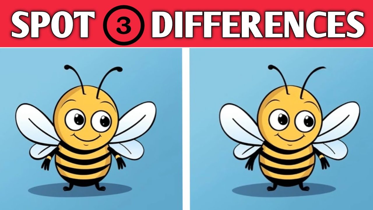 Spot 3 Differences | Spot 3 Difference Between two Images | Riddle Hunt