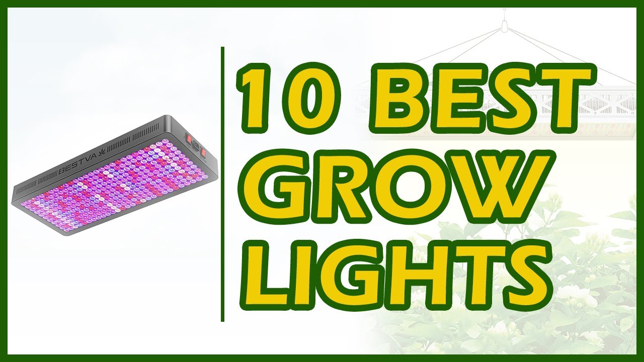 10 Best Grow Lights Review