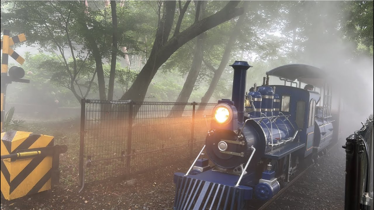 【むさしの村】ミストの中を走行するむさしの村鉄道