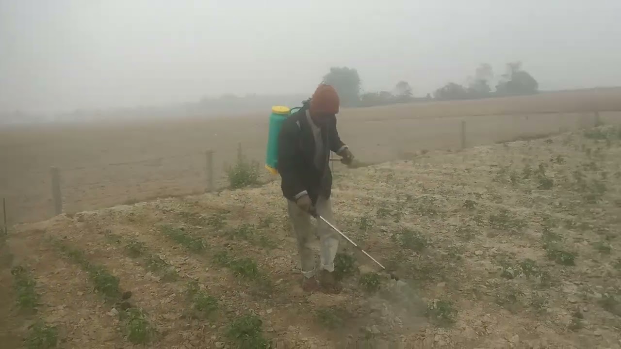 MS AGRO FARM...##